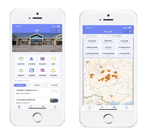 Organically grow the holistic world view