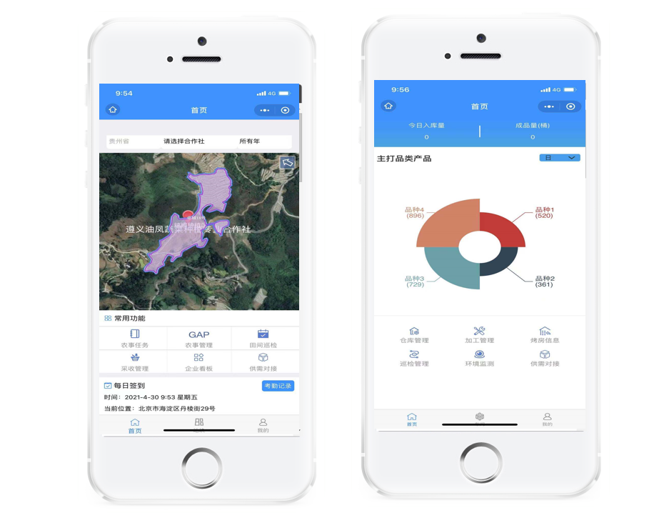 Organically grow the holistic world view